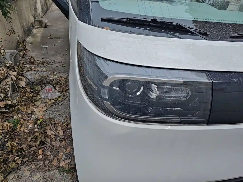 MAXUS V1L — миниатюра 7