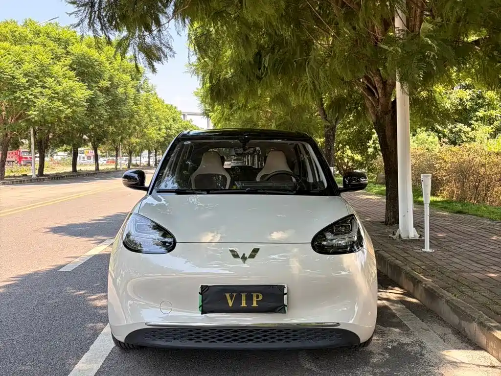 Wuling Bingo — миниатюра 2