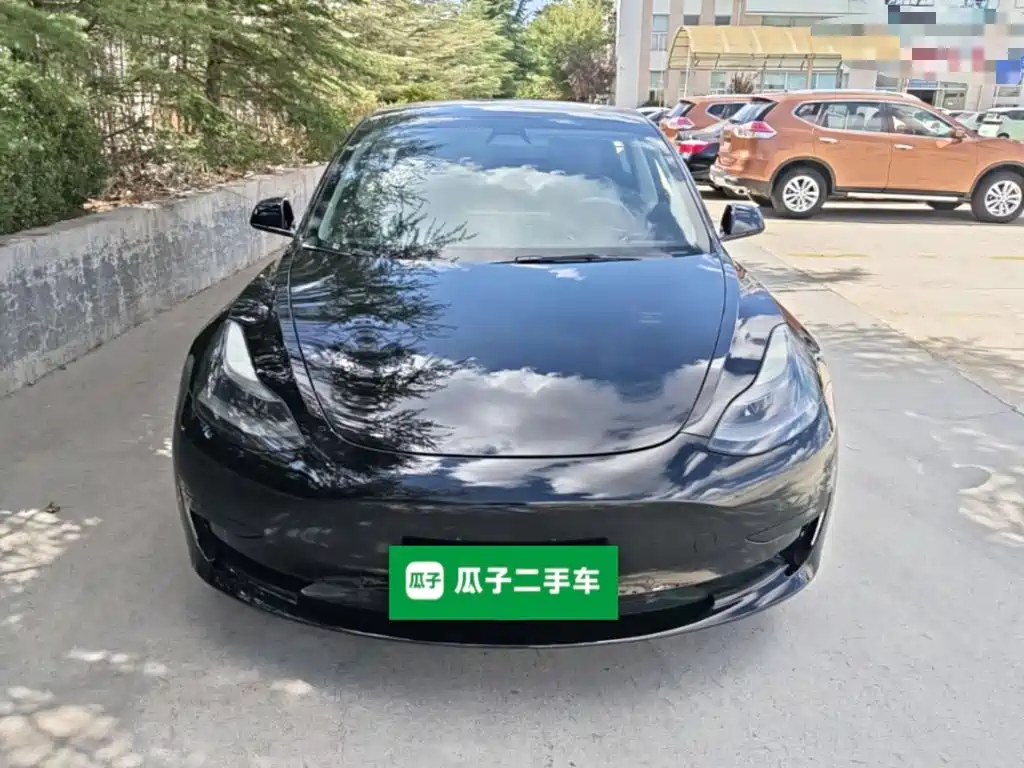 Tesla Model 3 — миниатюра 3