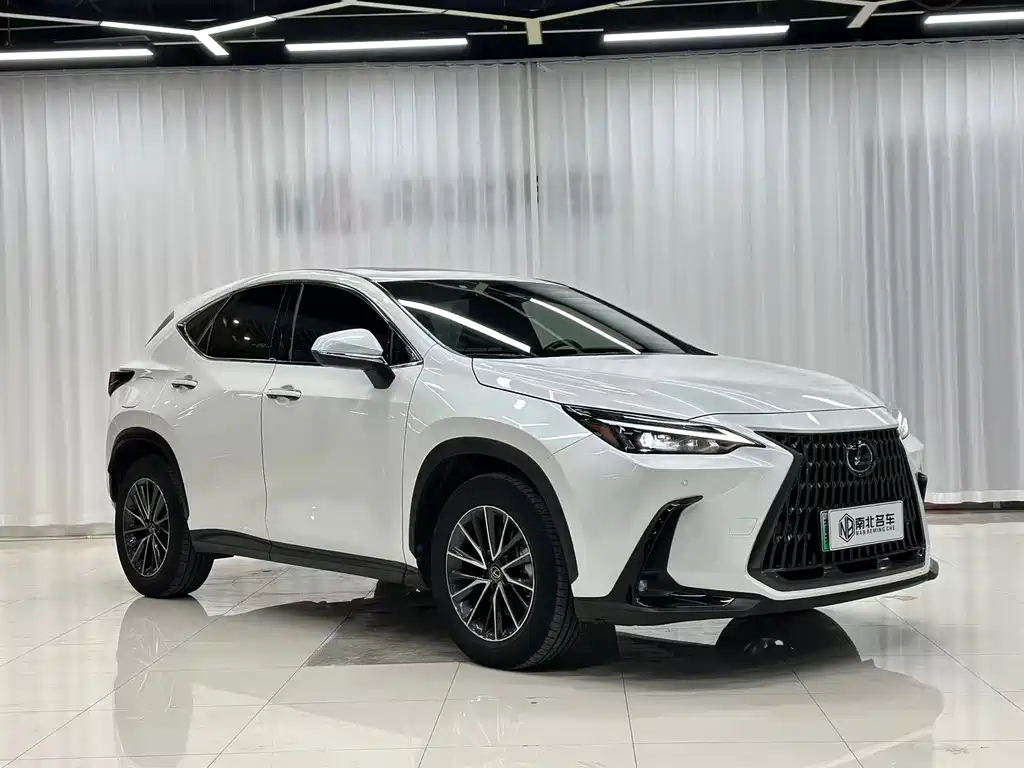 Lexus NX New Energy — миниатюра 2