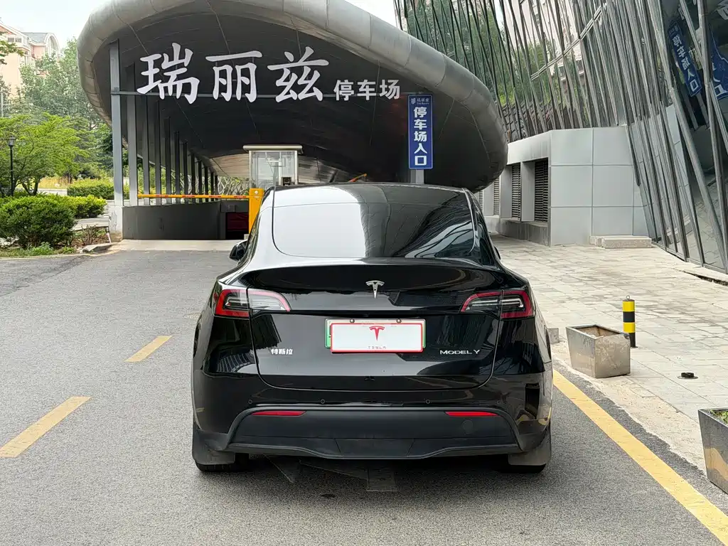 Tesla Model Y — миниатюра 5