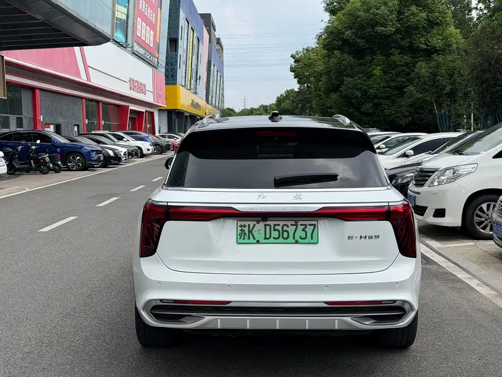 Hongqi Hongqi E-HS9 — миниатюра 6