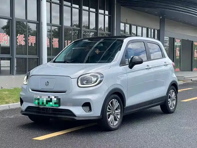 2022 Leapmotor T03