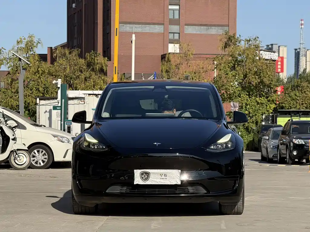 Tesla Model Y — миниатюра 2