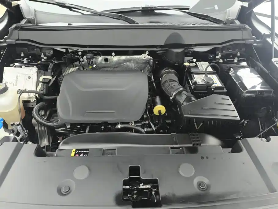 Haval Big Dog PLUS — миниатюра 10