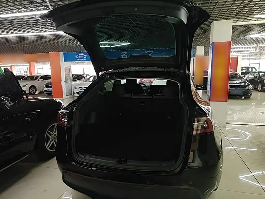 Tesla Model Y — миниатюра 19