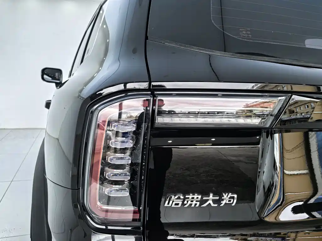 Haval Big Dog — миниатюра 14