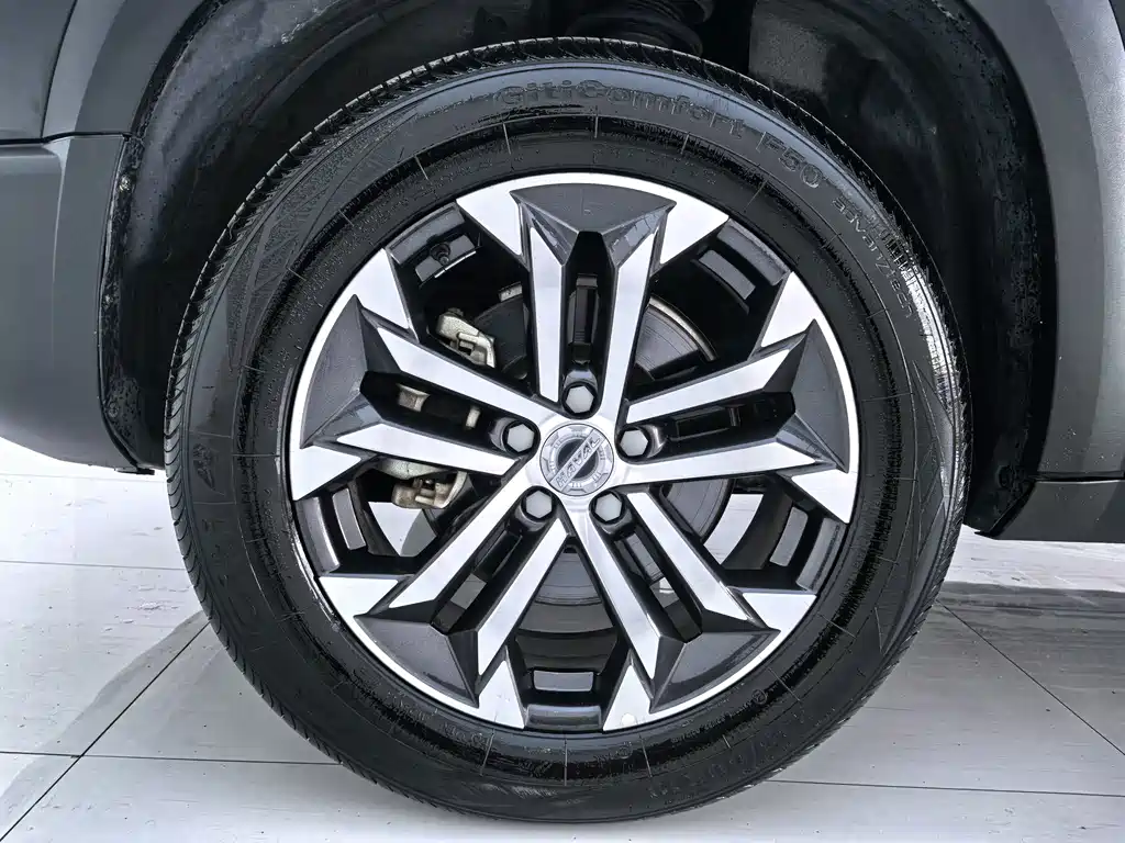 Haval Big Dog — миниатюра 16