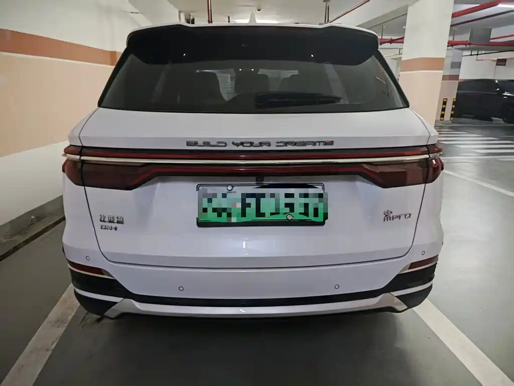 BYD Pro New Energy — миниатюра 4