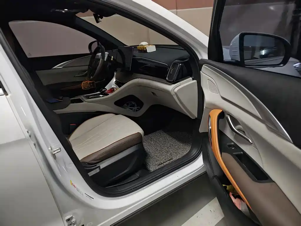 BYD Pro New Energy — миниатюра 7