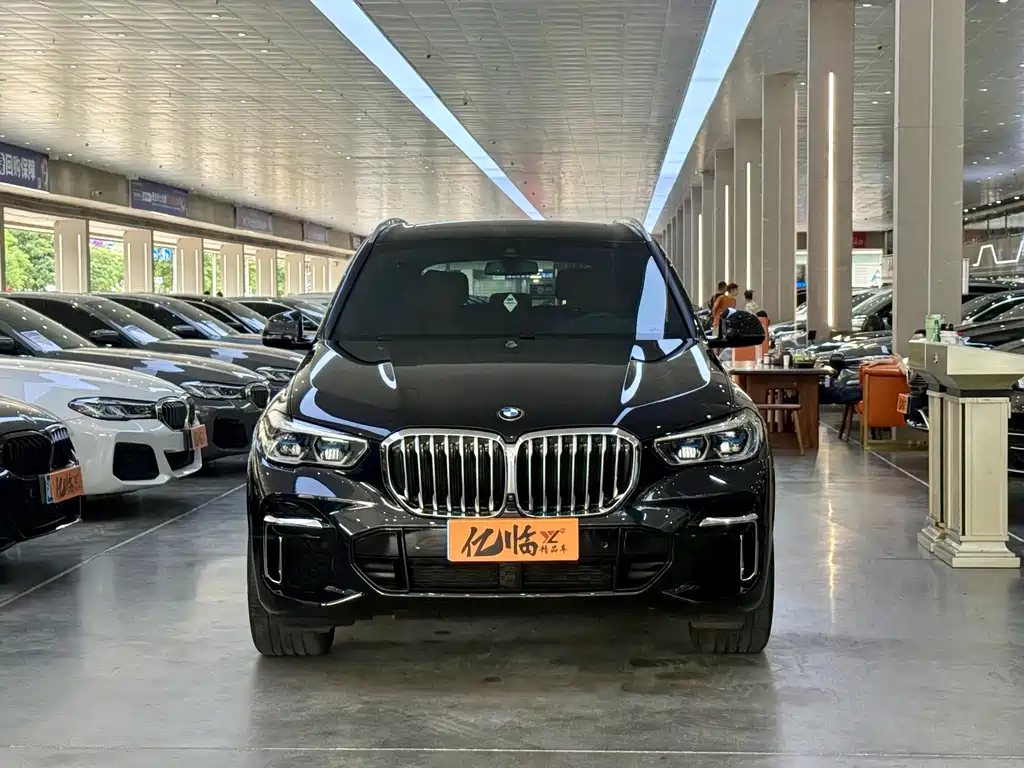 BMW X5 — миниатюра 2