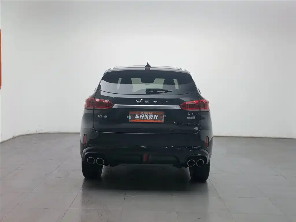 WEI PAI WEI BRAND VV6