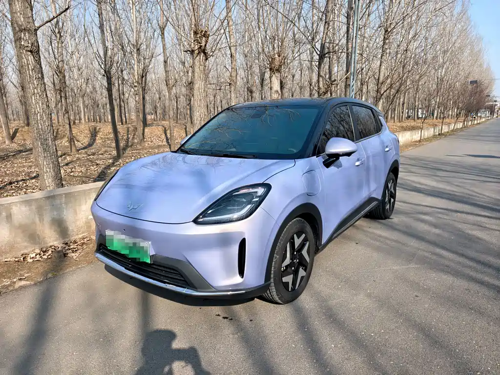 Wuling 缤果S 2025