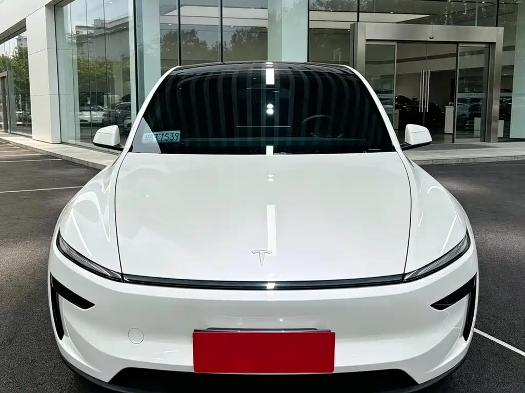 Tesla Model Y — миниатюра 2