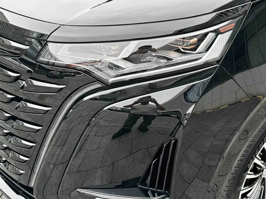 Denza Denza D9 — миниатюра 4