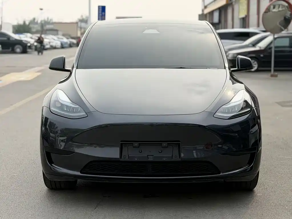 Tesla Model Y — миниатюра 2