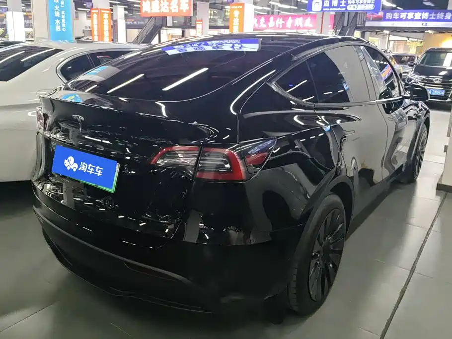 Tesla Model Y — миниатюра 3