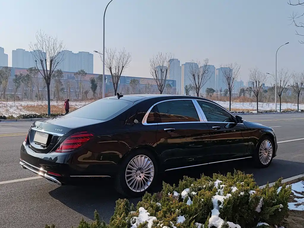 Mercedes-Benz S-Class — миниатюра 19