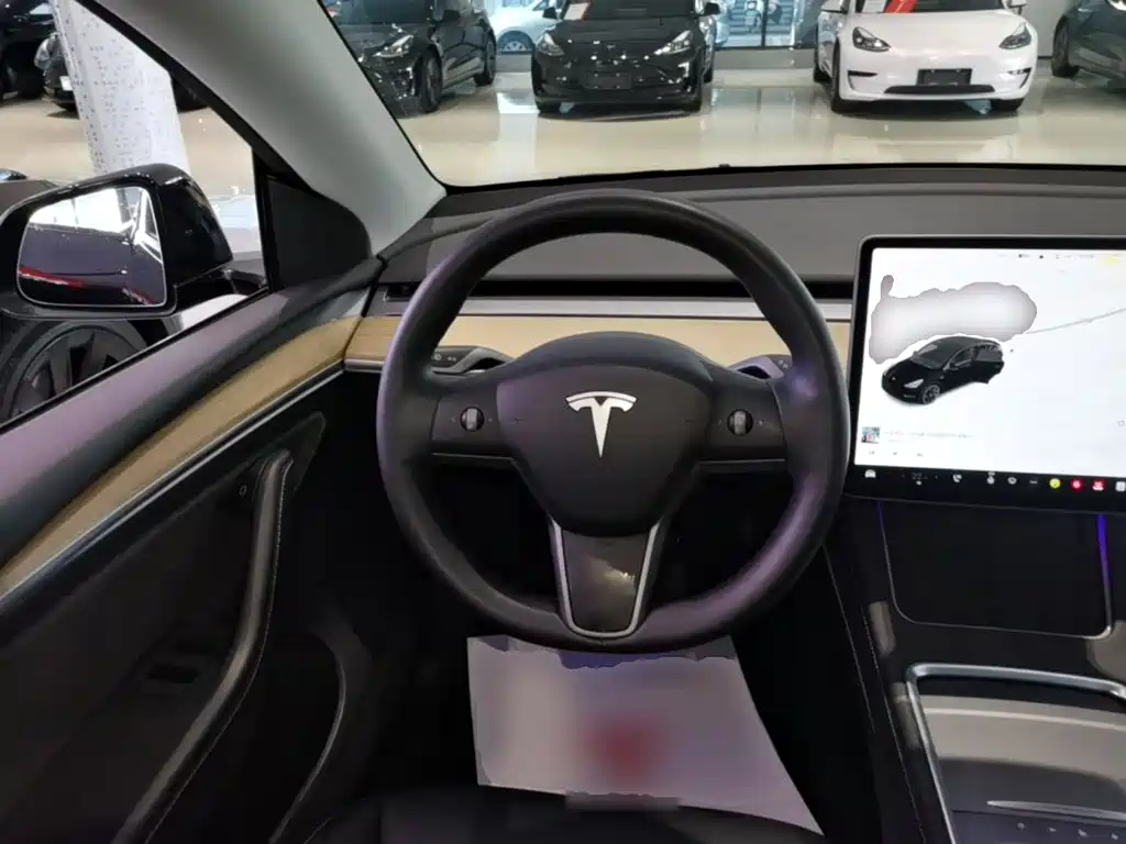 Tesla Model Y — миниатюра 11