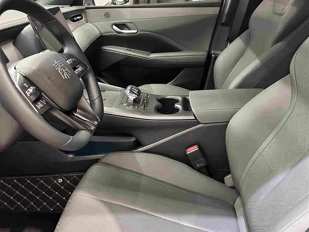BYD Qin Plus PLUS 2025 DM-i Smart Drive 55KM Lead