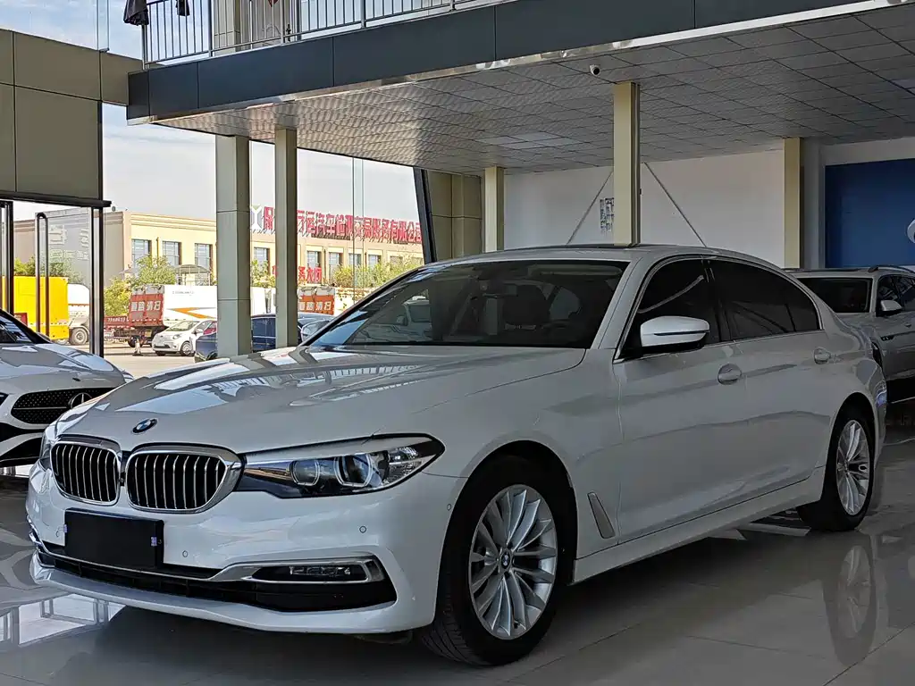 BMW 5 Series 5 2019 525Li Luxury