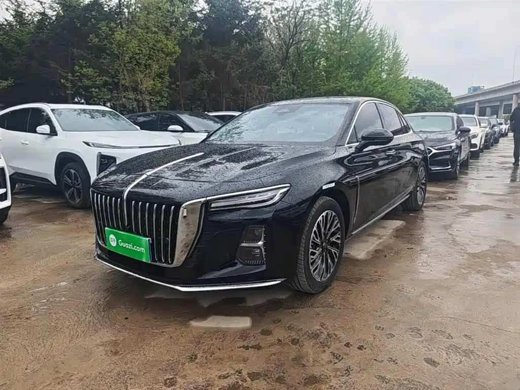 Hongqi Hongqi H5 2024