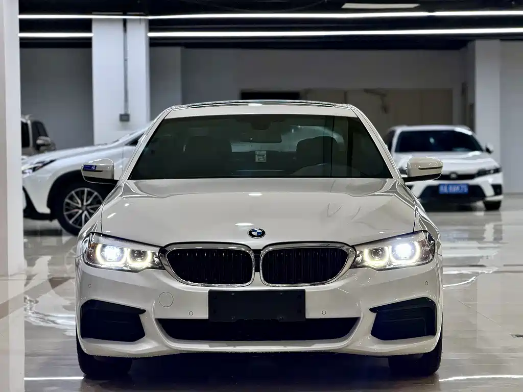 BMW 5 Series — миниатюра 2