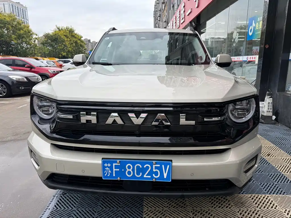 Haval Big Dog PLUS — миниатюра 2