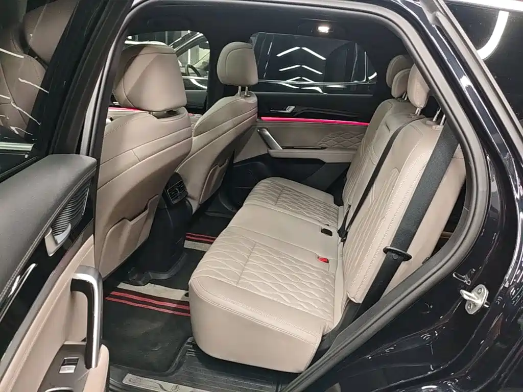 BYD Tang New Energy — миниатюра 17