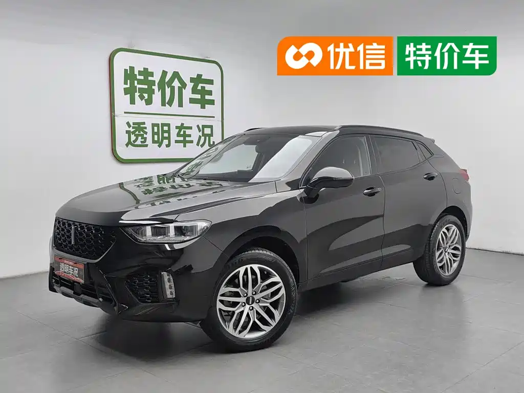 2018 Wey VV5 - zdjęcie 1 z 24