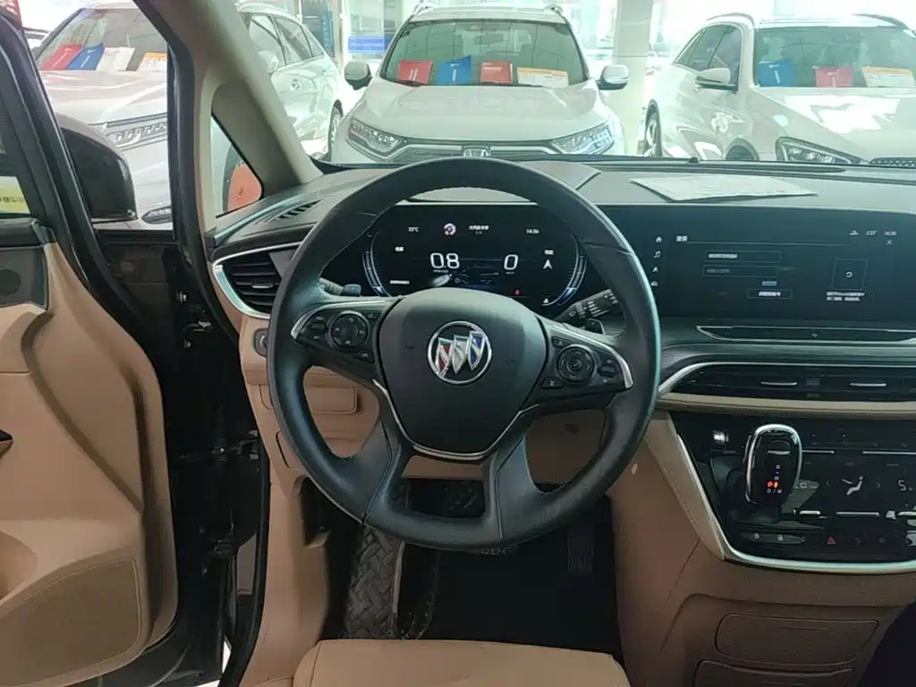 Buick GL8 — миниатюра 11