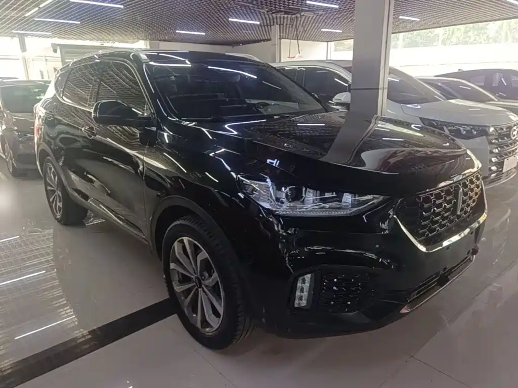 Wey Wey VV6 — миниатюра 4