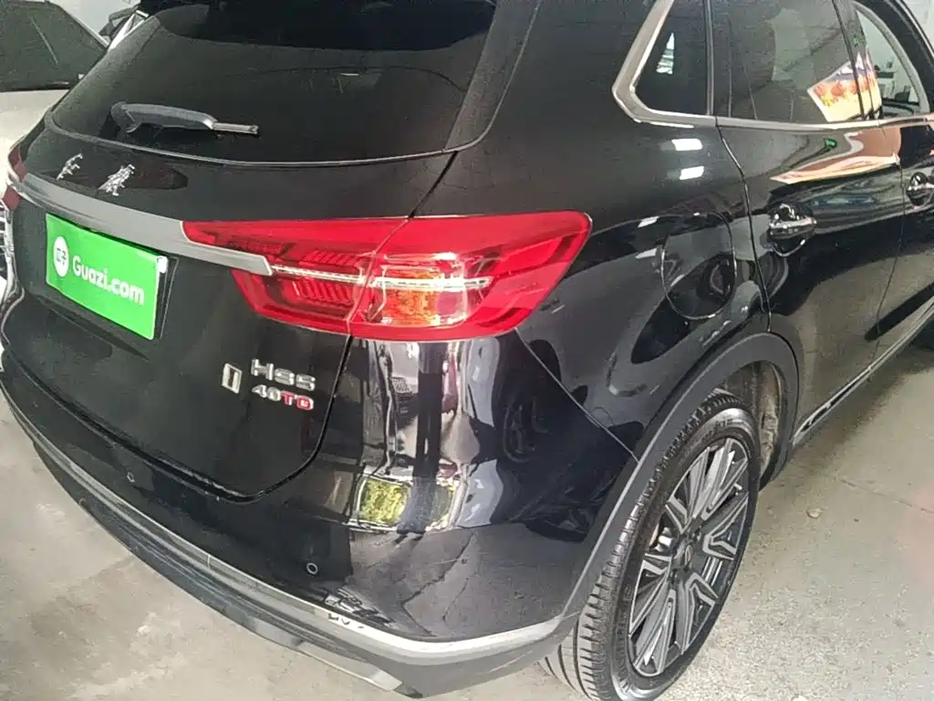 Hongqi Hongqi HS5 — миниатюра 8