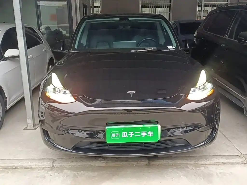 Tesla Model Y — миниатюра 3