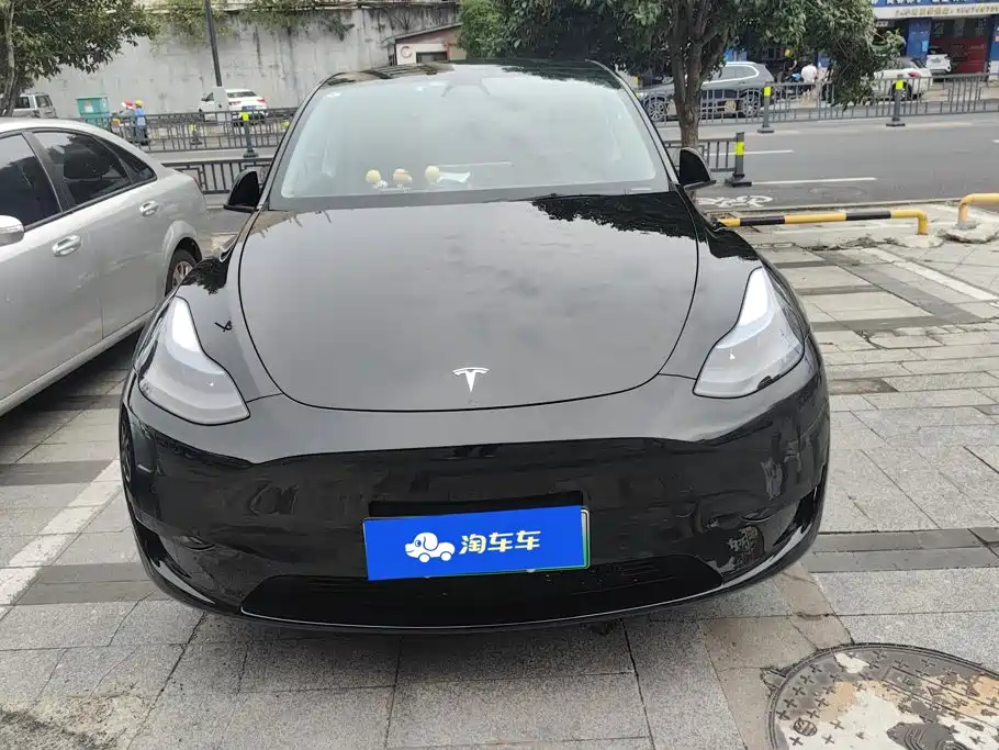 Tesla Model Y — миниатюра 2