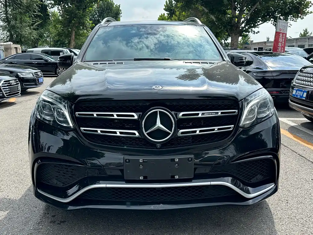 Mercedes-Benz GLS AMG — миниатюра 2