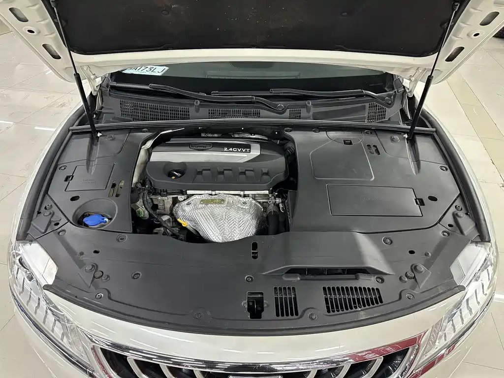 Geely Borui — миниатюра 12
