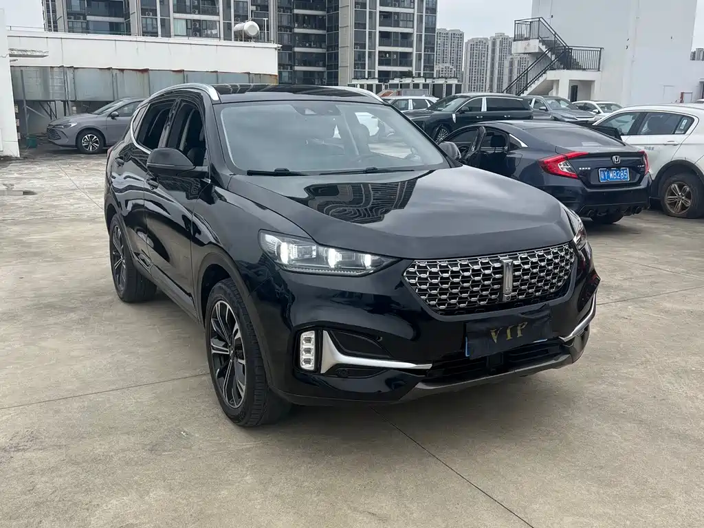 Wey Wey VV6 — миниатюра 3