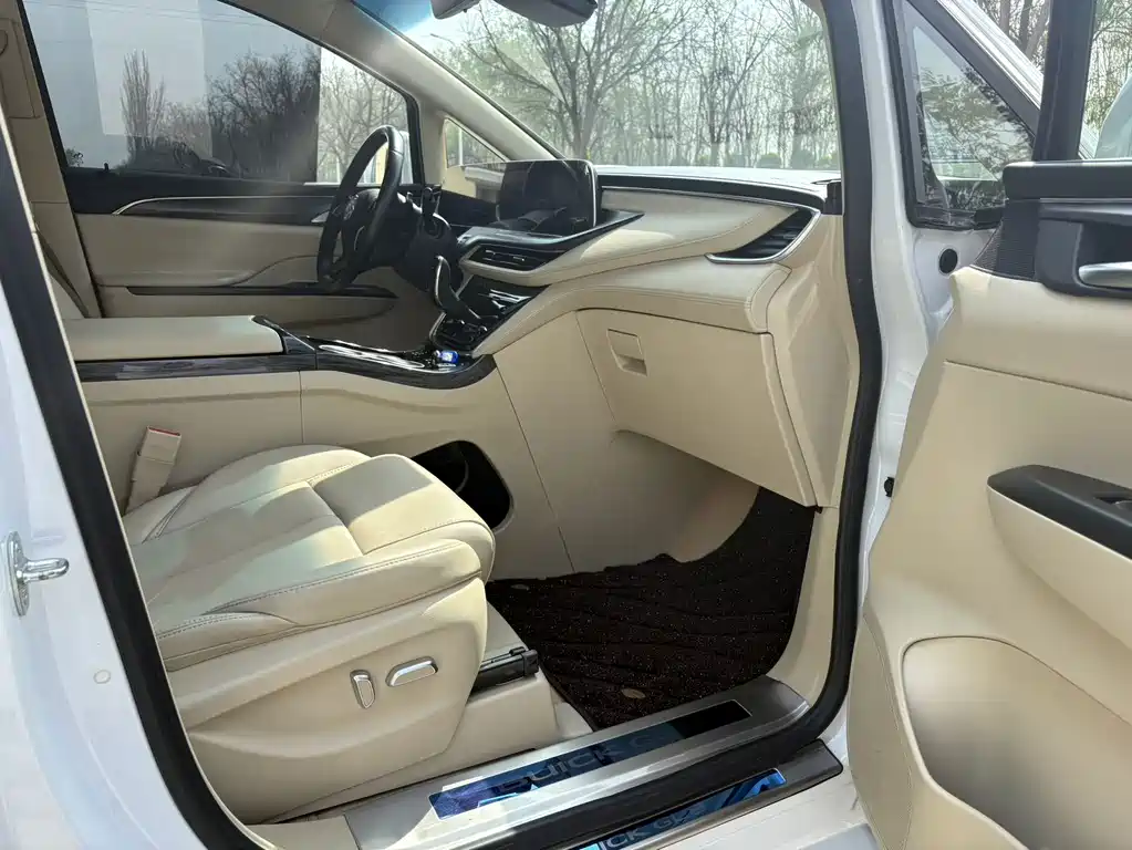 Buick GL8 — миниатюра 19