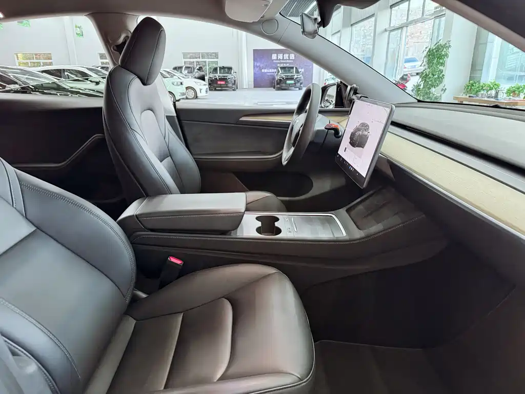 Tesla Model Y — миниатюра 17