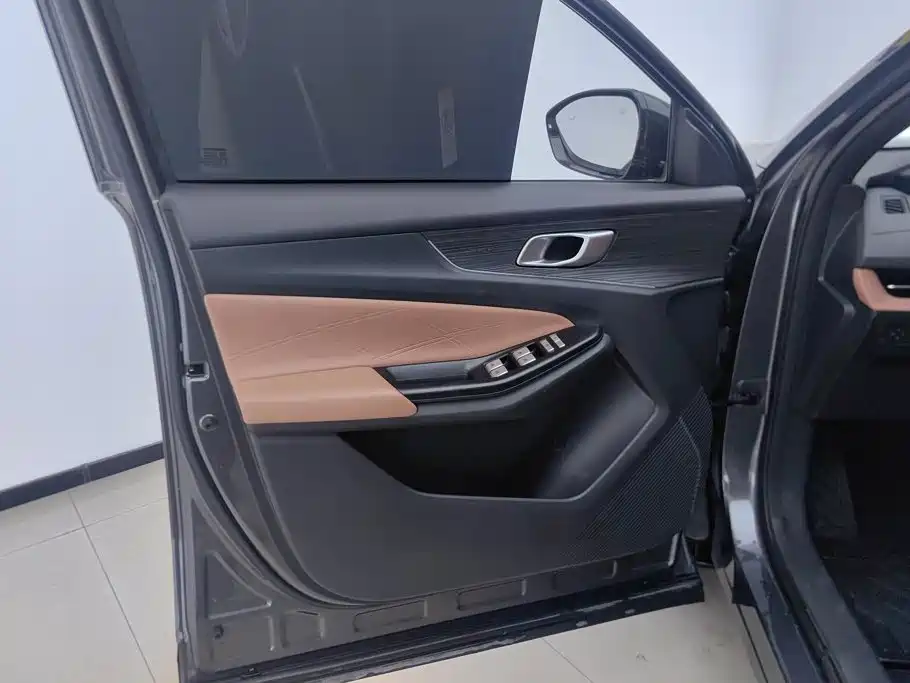 Qiyuan Чанг Ан Кай Q05 классика. — миниатюра 7