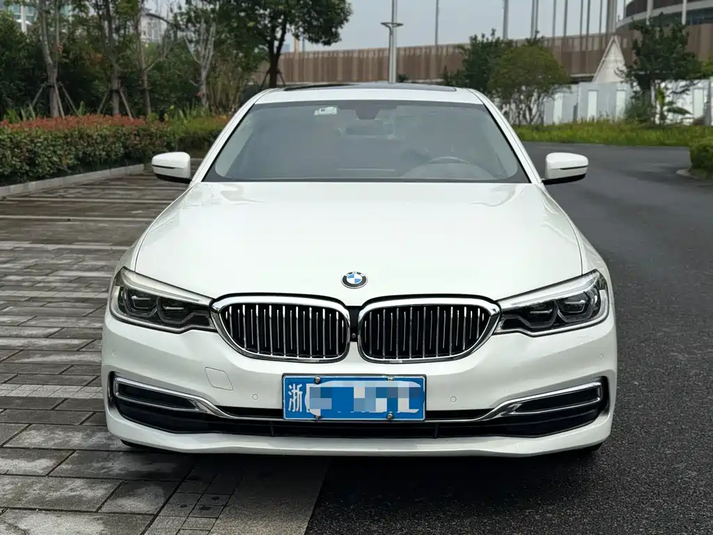 BMW 5 Series 5 2020 530Li Premium Luxury