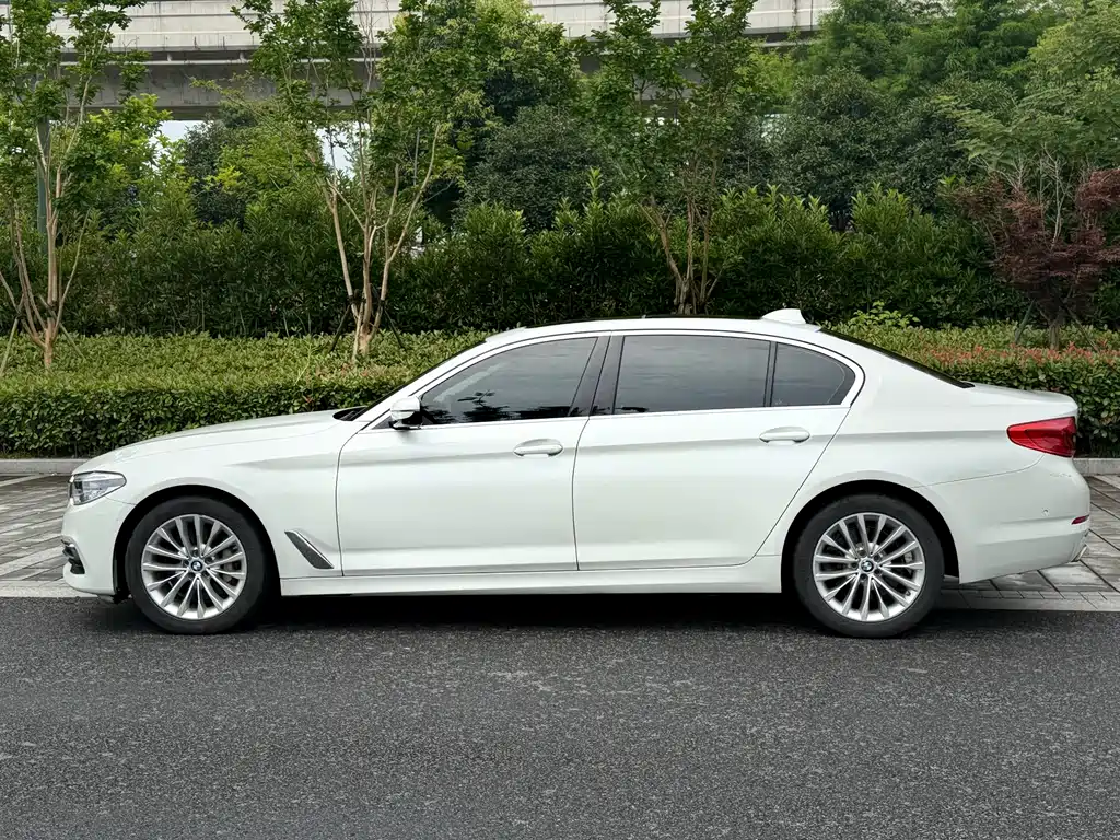 BMW 5 Series 5 2020 530Li Premium Luxury