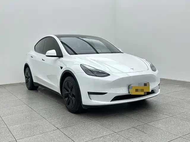 Tesla Model Y — миниатюра 3
