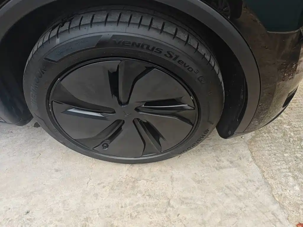 Tesla Model Y — миниатюра 25