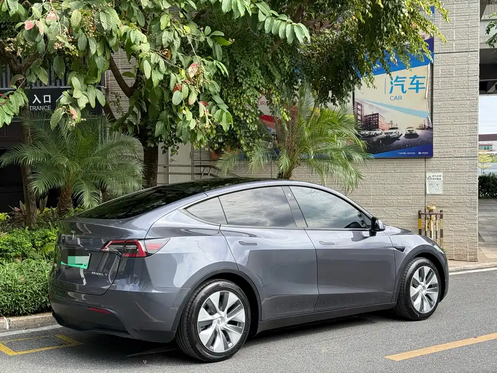Tesla Model Y — миниатюра 4