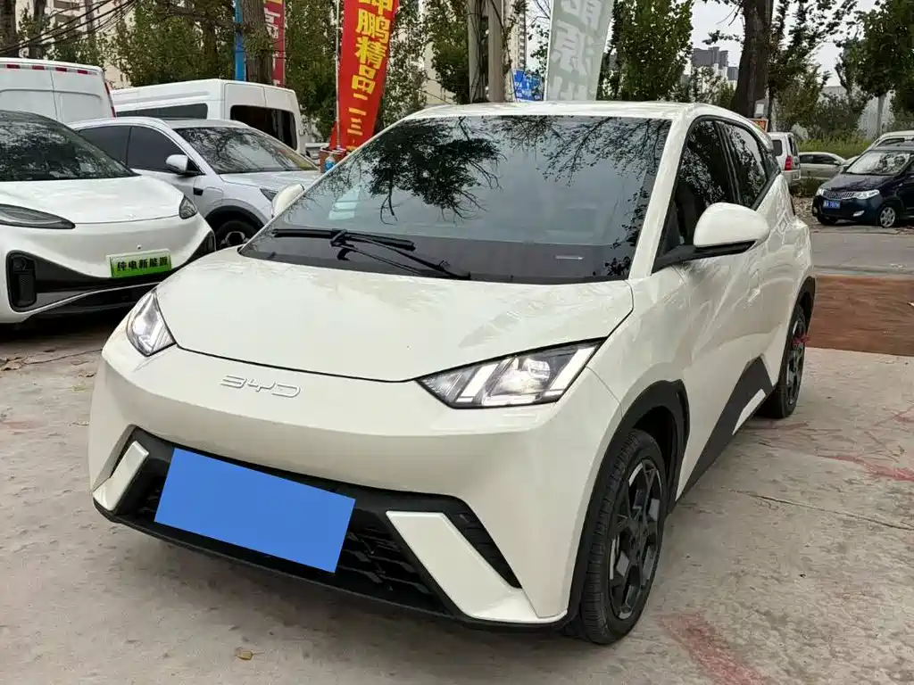 BYD Seagull