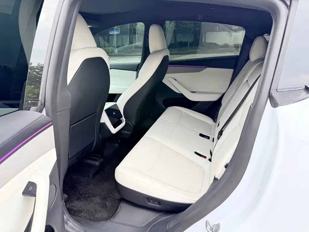 Tesla Model Y — миниатюра 6