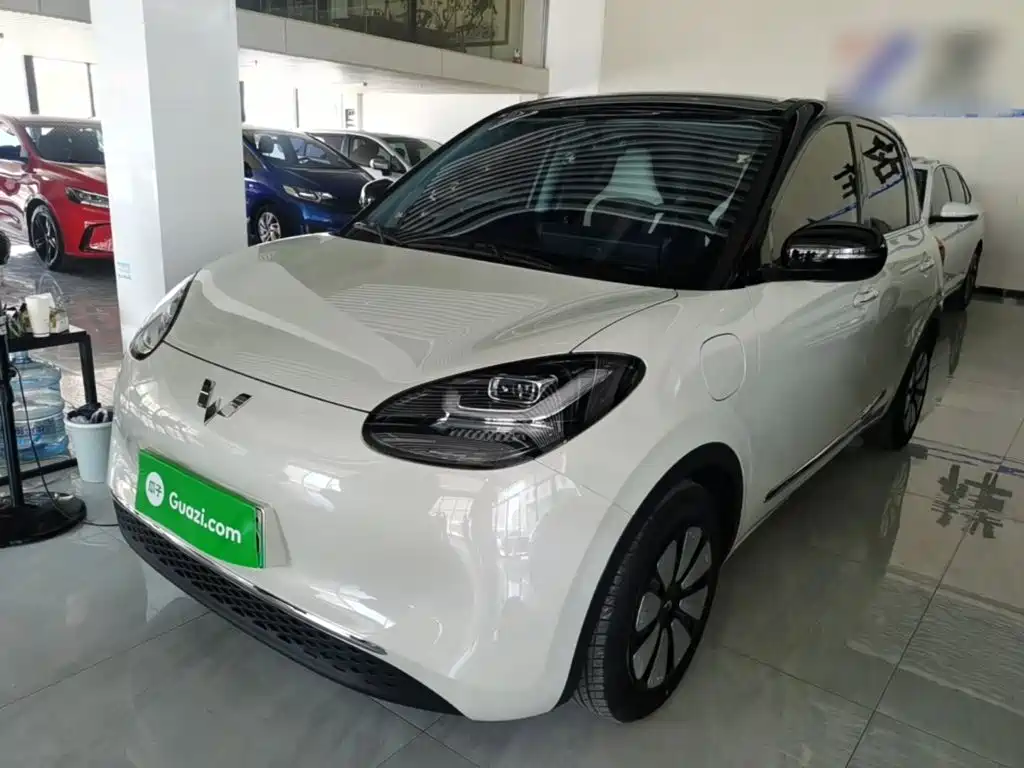 Wuling Binguo 2024 333km Enjoy