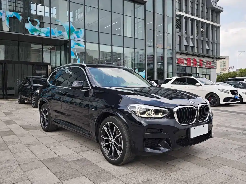 BMW X3 2020 xDrive30i Lead M Sport